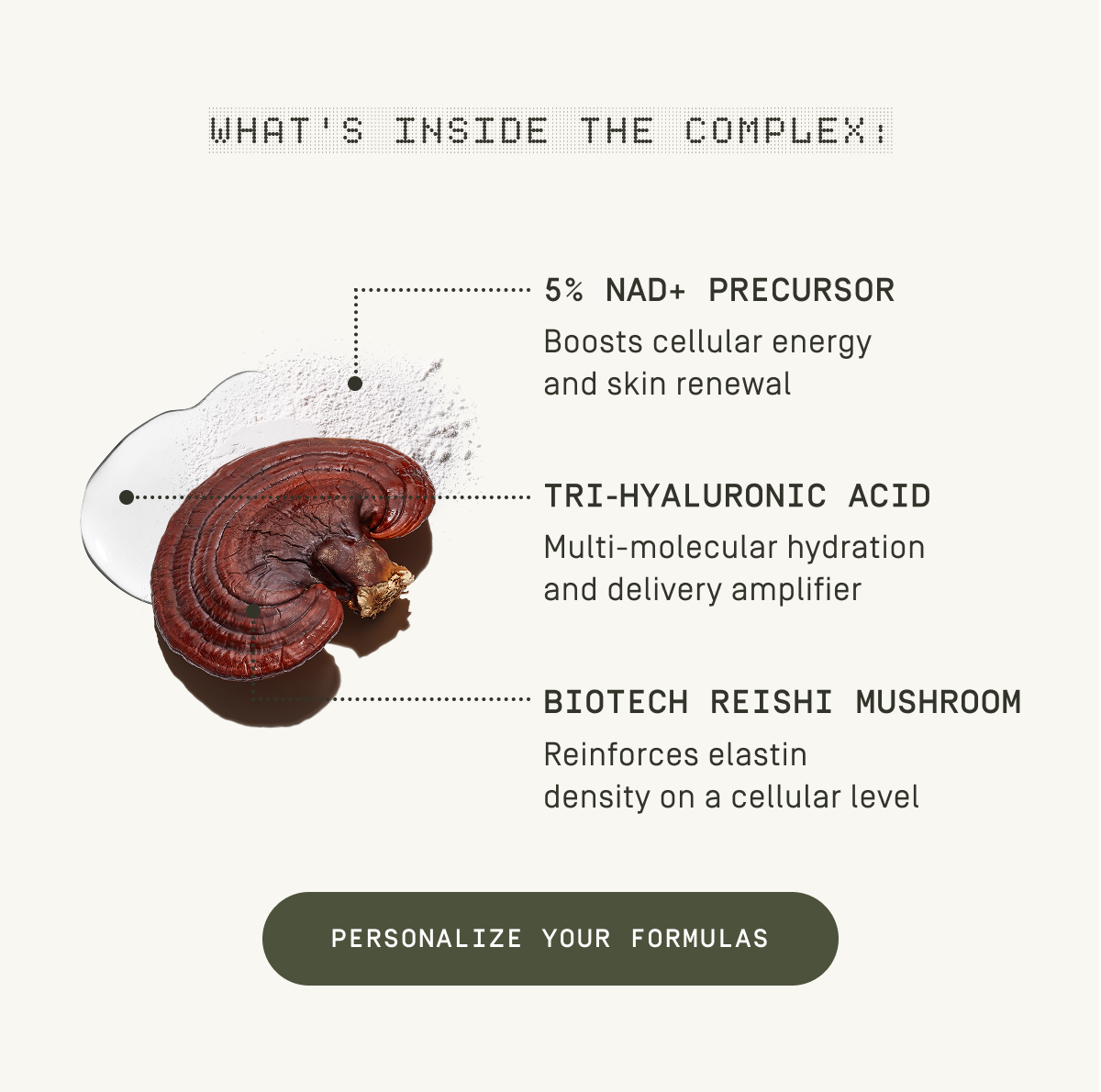 WHAT'S INSIDE THE COMPLEX?