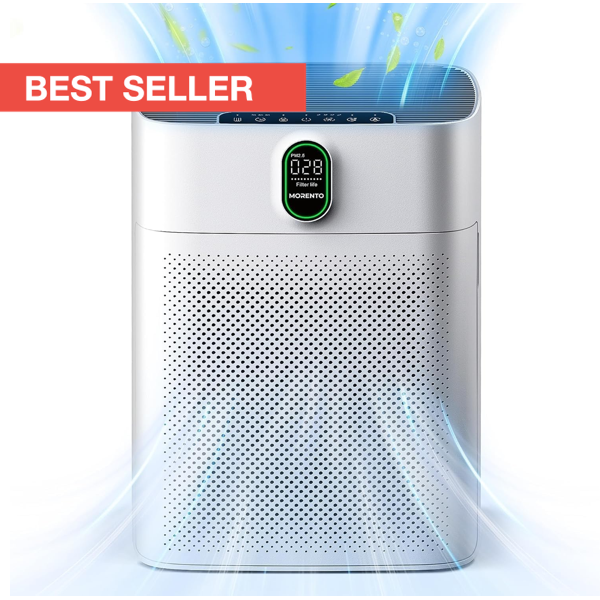 Air Purifier for Large Rooms