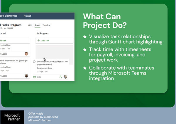 Microsoft Project Professional 2024: Lifetime License for Windows