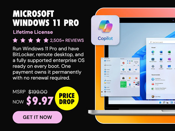 Microsoft Windows 11 Pro