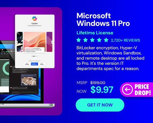 Microsoft Windows 11 Pro