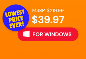 Microsoft Office Professional 2021 for Windows: Lifetime License