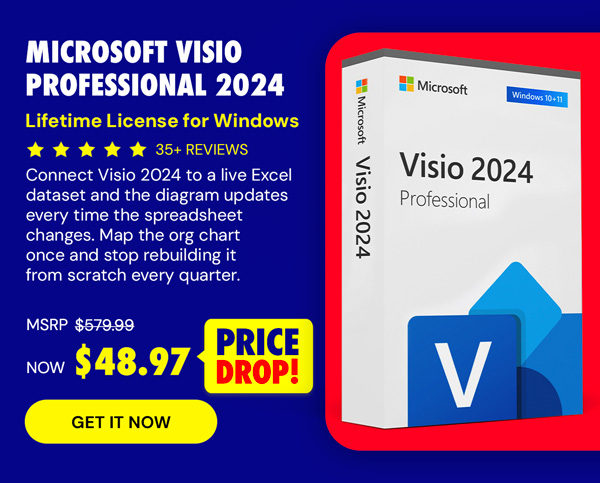 Microsoft Visio Professional 2024: Lifetime License for Windows