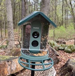 A wildlife documentary in your yard