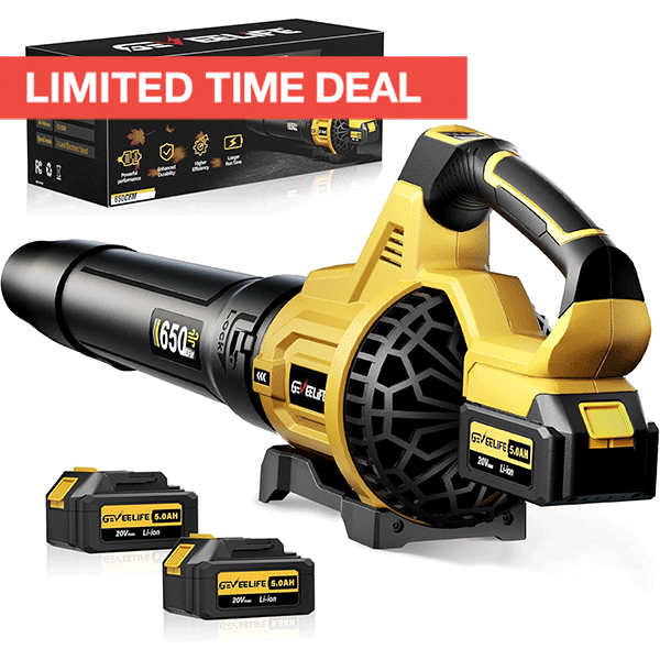 Cordless 650CFM Leaf Blower Kit