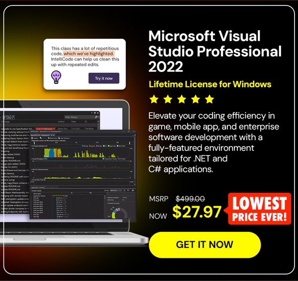 Microsoft Visual Studio Professional 2022 for Windows
