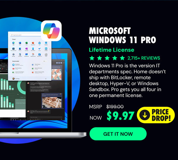 Microsoft Windows 11 Pro