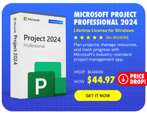 Microsoft Project Professional 2024: Lifetime License for Windows