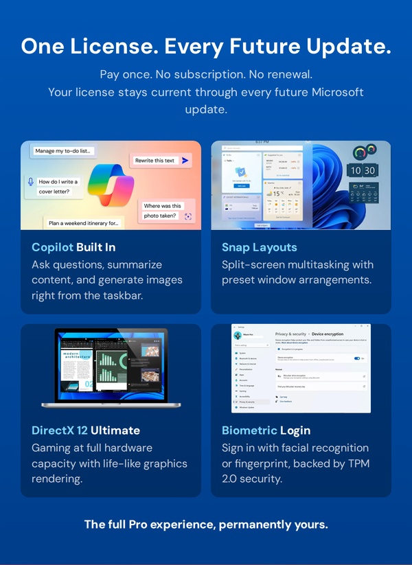Microsoft Windows 11 Pro