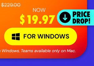 Microsoft Office Professional Plus 2019 for Windows | Lifetime License