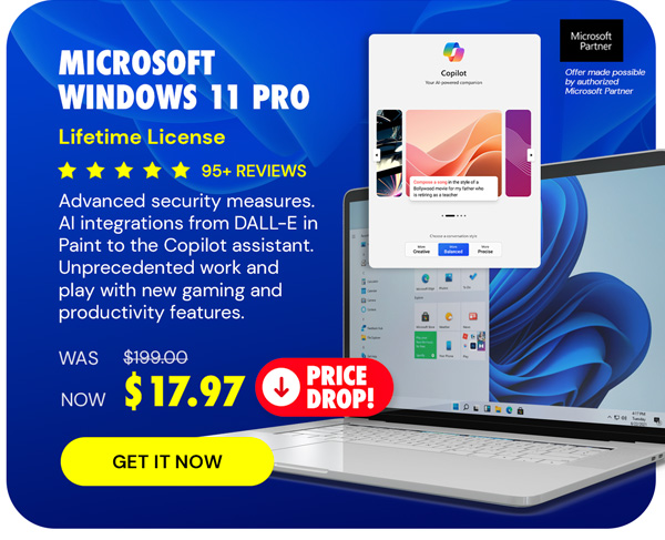 Microsoft Windows 11 Pro