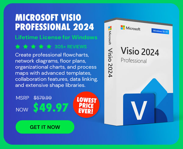 Microsoft Visio Professional 2024: Lifetime License for Windows