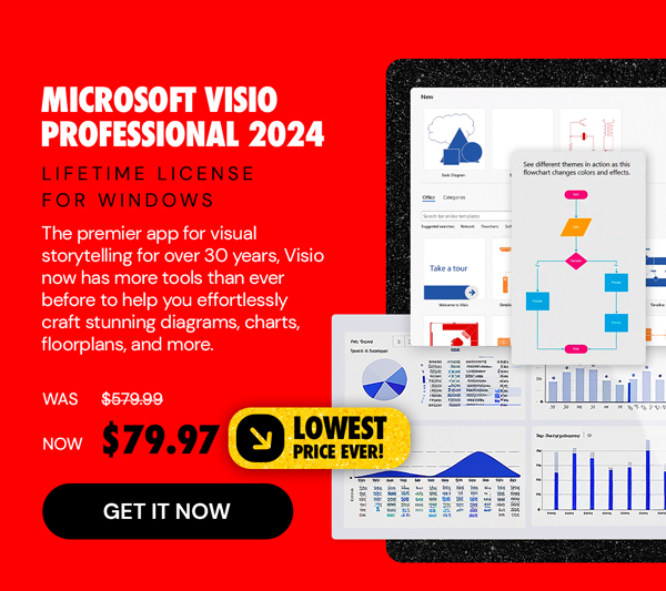 Microsoft Visio Professional 2024: Lifetime License for Windows