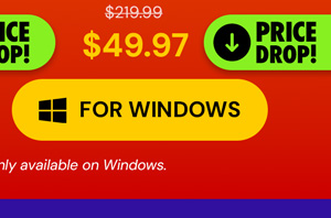 Microsoft Office Professional 2021 for Windows: Lifetime License