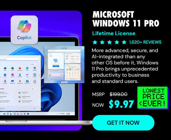 Microsoft Windows 11 Pro