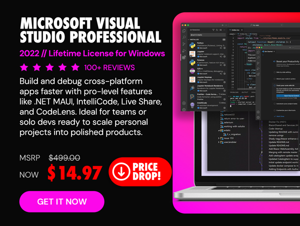 Microsoft Visual Studio Professional 2022
