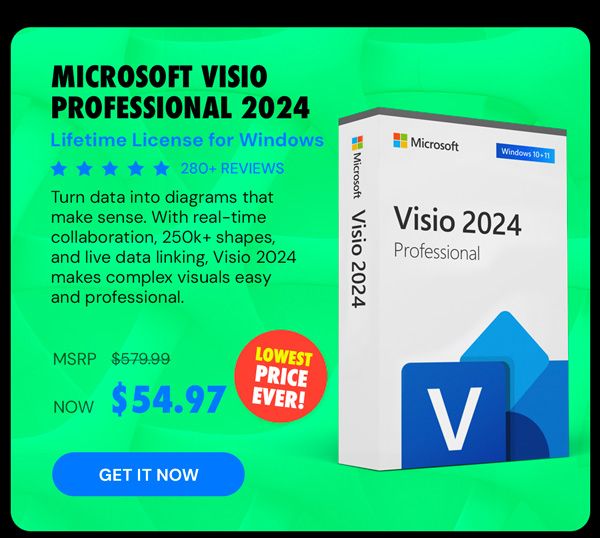 Microsoft Visio Professional 2024: Lifetime License for Windows