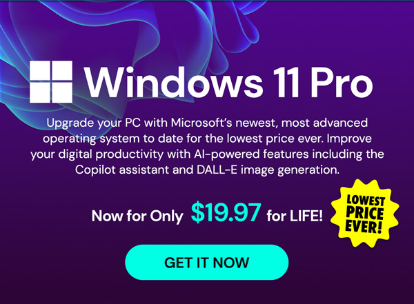 Microsoft Windows 11 Pro