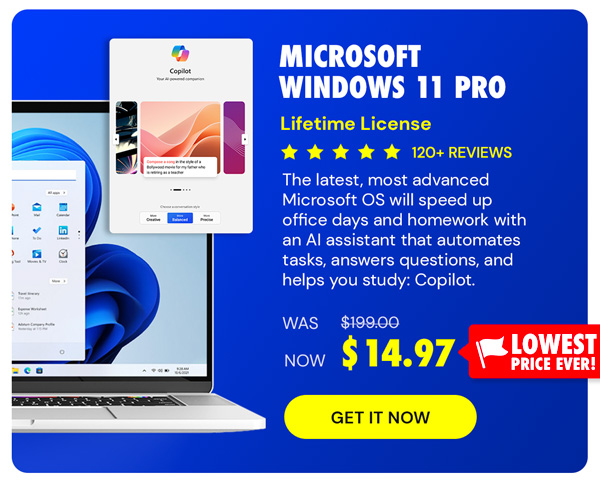 Microsoft Windows 11 Pro