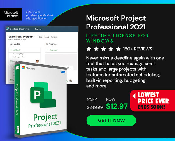 Microsoft Project 2021 Professional: Lifetime License for Windows