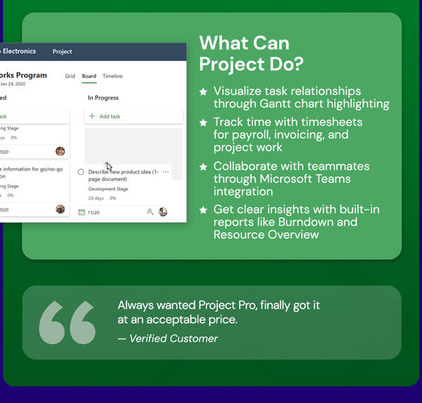 Microsoft Project Professional 2024: Lifetime License for Windows