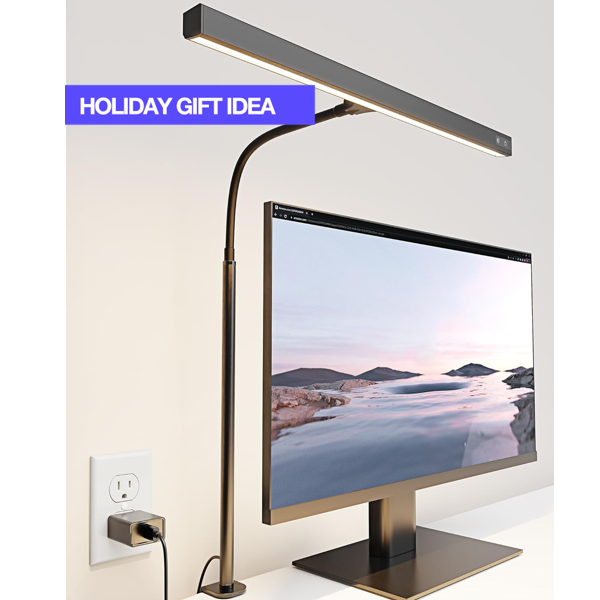 LED Desk Lamp for Office