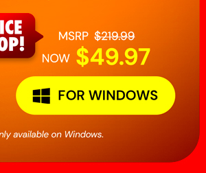 Microsoft Office Professional 2021 for Windows: Lifetime License