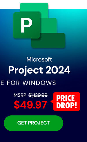 Microsoft Project 2024 Professional: Lifetime License for Windows