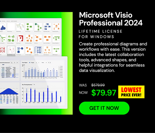 Microsoft Visio Professional 2024: Lifetime License for Windows