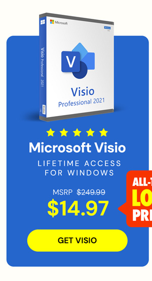 Microsoft Visio 2021 Professional (PC)