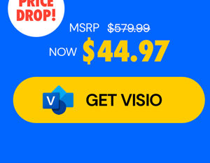 Microsoft Visio or Project 2024 Professional: Lifetime License for Windows