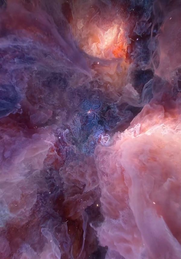 @teunvanderzalm on Instagram