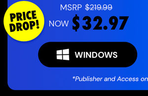 Microsoft Office Professional 2021 for Windows: Lifetime License