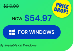 Microsoft Office Professional 2021 for Windows: Lifetime License