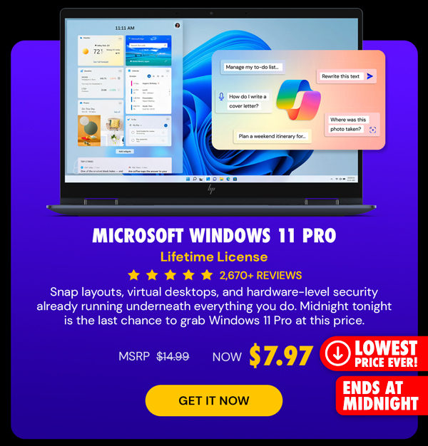 Microsoft Windows 11 Pro