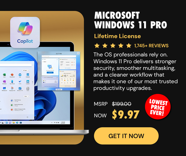 Microsoft Windows 11 Pro