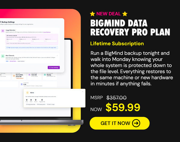 BigMind Data Recovery Pro Plan: Lifetime Subscription
