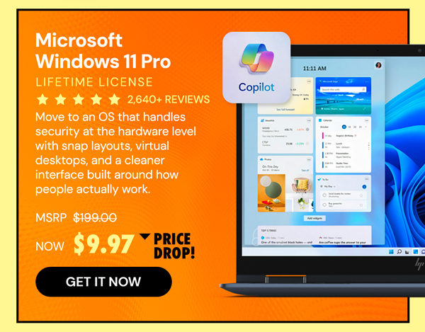 Microsoft Windows 11 Pro