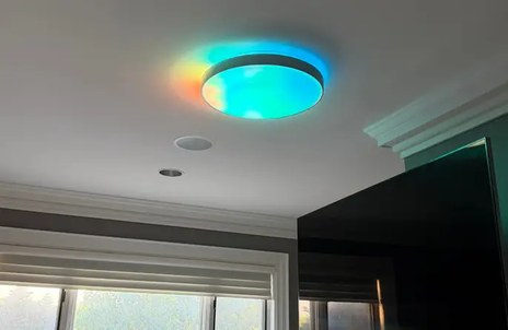 Govee smart ceiling light