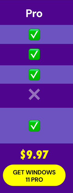 Microsoft Windows 11 Pro