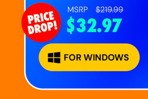 Microsoft Office Professional 2021 for Windows: Lifetime License