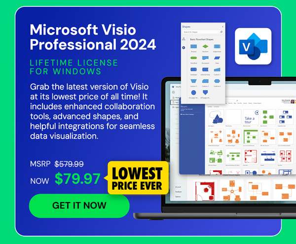 Microsoft Visio Professional 2024: Lifetime License for Windows