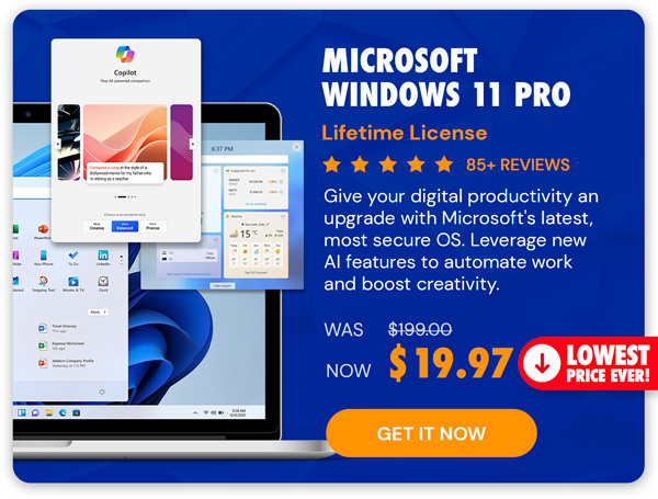 Microsoft Windows 11 Pro