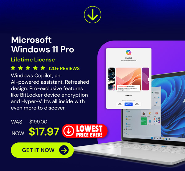 Microsoft Windows 11 Pro