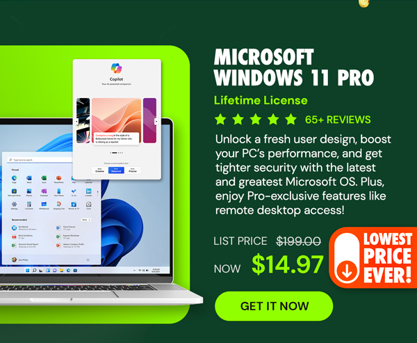 Microsoft Windows 11 Pro Lifetime License