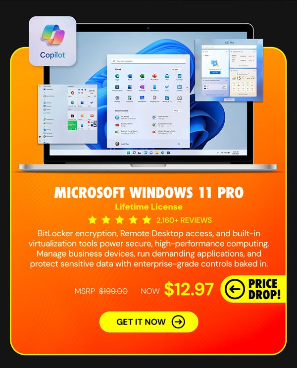 Microsoft Windows 11 Pro