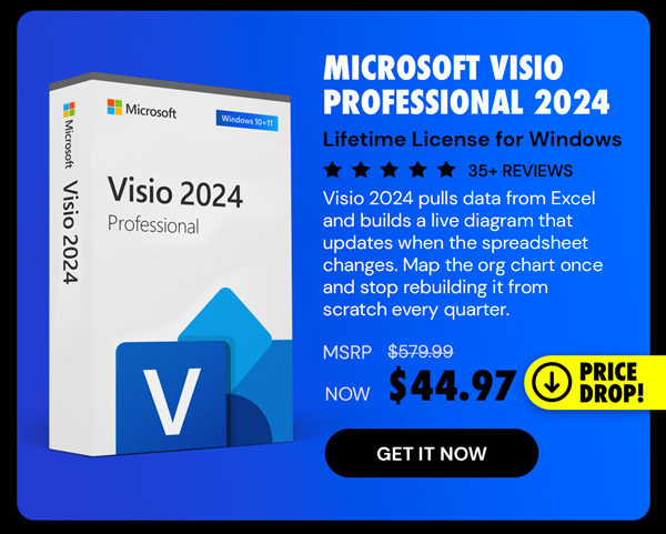Microsoft Visio Professional 2024: Lifetime License for Windows