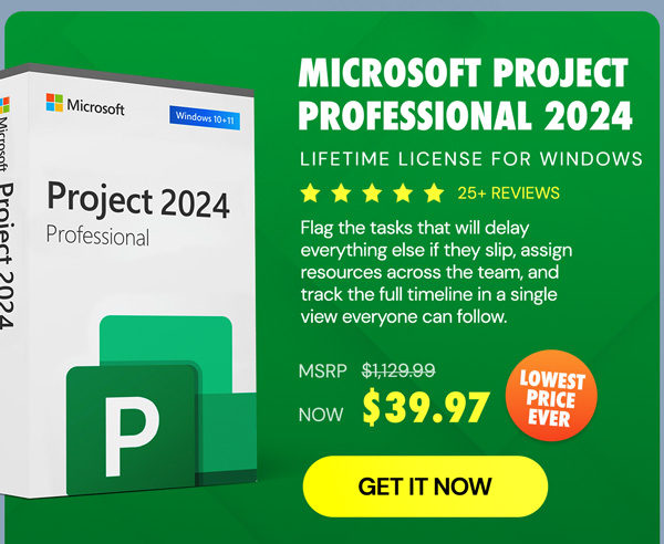 Microsoft Project Professional 2024: Lifetime License for Windows