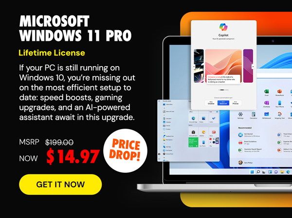 Microsoft Windows 11 Pro