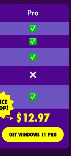 Microsoft Windows 11 Pro